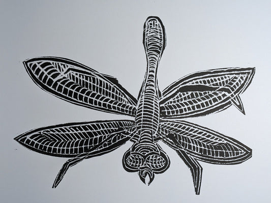 Dragonfly, Original Print