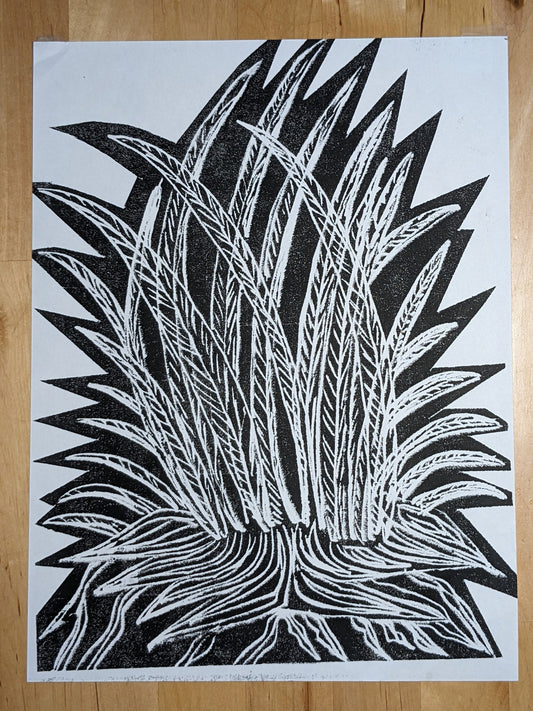 Agave, Original Print